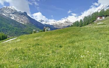Building land - image - 6
