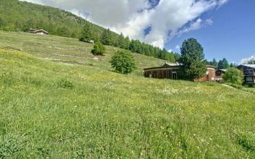 Building land - image - 5