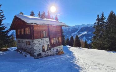 Chalet 8 pièces - image - 10