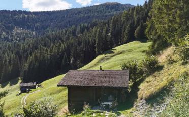 Chalet 3.5 Zimmer - image - 3
