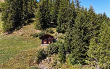 Chalet 3.5 Zimmer - image - 1
