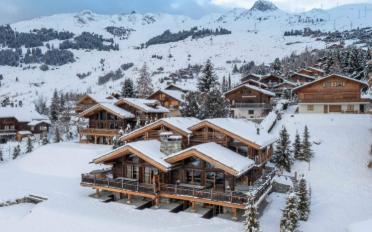 Chalet 7 rooms - image - 2