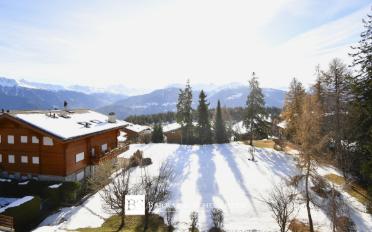 Wohnung 2.5 Zimmer - image - 1