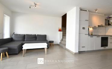Wohnung 3.5 Zimmer - image - 1