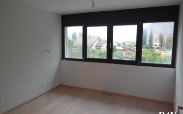 Duplex - image - 15