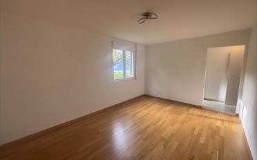 Apartment - image - 13