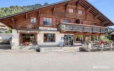 Chalet 11 pièces - image - 1