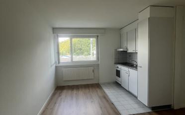 Appartement 1.5 pièces - image - 3