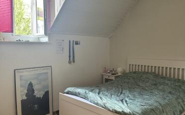 Wohnung 2.5 Zimmer - image - 2