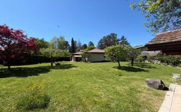 Villa 5 Zimmer - image - 3