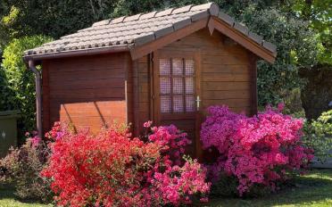 Villa 5 Zimmer - image - 4