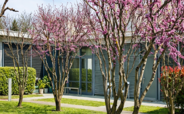 Studio 1 pièce - image - 6