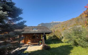 Chalet 3.5 Zimmer - image - 13