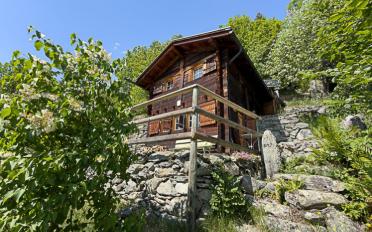 Chalet 3.5 Zimmer - image - 1