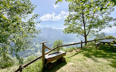 Chalet 3.5 Zimmer - image - 12