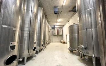 Mixed use property 10 rooms - image - 5