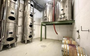 Mixed use property 10 rooms - image - 8