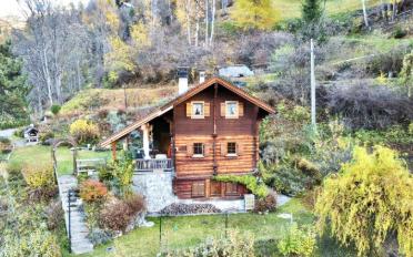 Chalet 4.5 Zimmer - image - 3