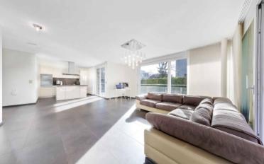 Wohnung 3.5 Zimmer - image - 3