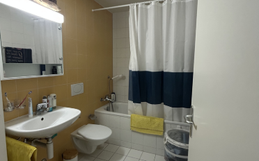 Appartement 1.5 pièces - image - 8