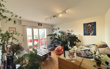 Wohnung 2.5 Zimmer - image - 2