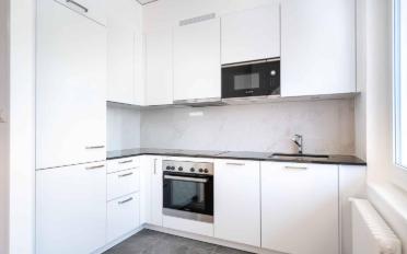 Apartment 1 room - image - 3