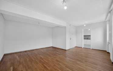Apartment 1 room - image - 6