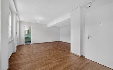 Apartment 1 room - image - 3
