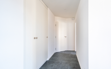 Wohnung 2.5 Zimmer - image - 5