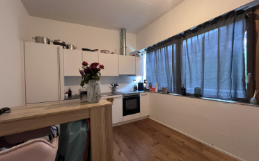 Wohnung 1.5 Zimmer - image - 1