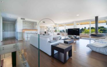 Single house 14 rooms - image - 3