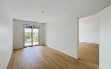 Apartment 2.5 rooms - image - 6