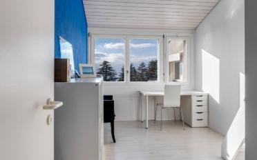 Villa 11 Zimmer - image - 7