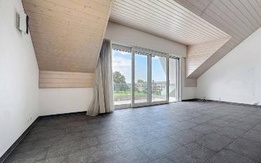 Dachwohnung 5.5 Zimmer - image - 2