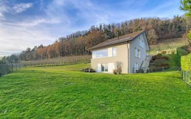 Villa 7.5 pièces - image - 12