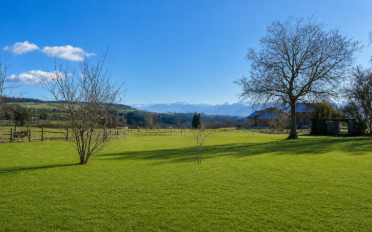 Villa 6.5 Zimmer - image - 11