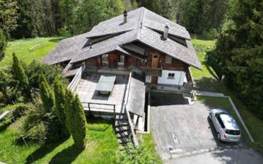 Chalet 15 pièces - image - 2