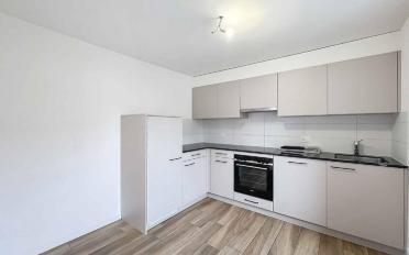 Appartement 3.5 pièces - image - 1