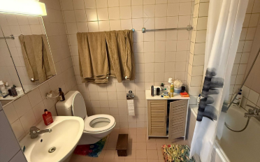 Apartment 2.5 rooms - image - 5