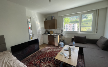 Wohnung ein Zimmer - image - 2