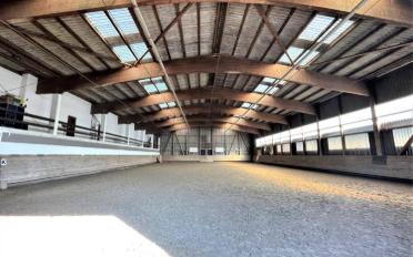 Halle d'équitation - image - 8