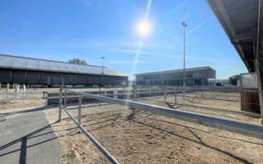 Halle d'équitation - image - 6
