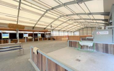 Halle d'équitation - image - 9