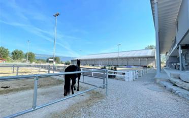 Halle d'équitation - image - 4
