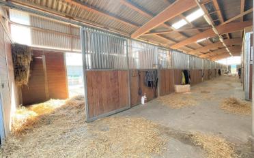 Halle d'équitation - image - 12