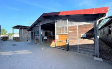Halle d'équitation - image - 11