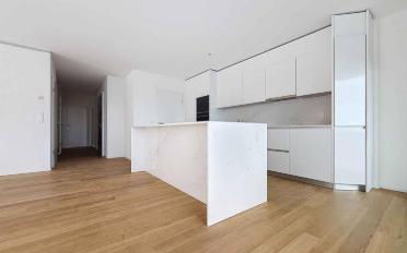 Attikawohnung 5.5 Zimmer - image - 3