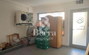 Shop - image - 7