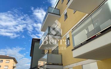 Shop - image - 8