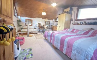 Einfamilienhaus 2.5 Zimmer - image - 4